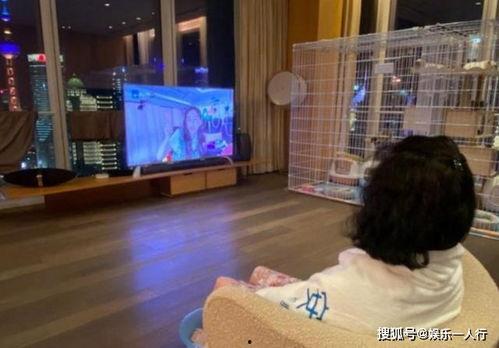 莆田小孩爆料视频曝光,揭开校园霸凌黑幕  第3张