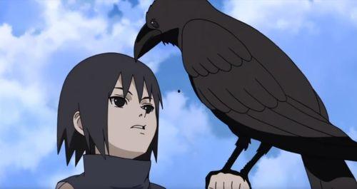 火影秋风鼬爆料视频下载,秋风鼬爆料视频揭秘，独家内容大放送！  第2张