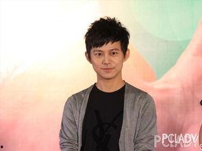 何炅 娱乐爆料事件真相,真相大白背后的曲折历程 第3张 何炅 娱乐爆料事件真相,真相大白背后的曲折历程 第3张