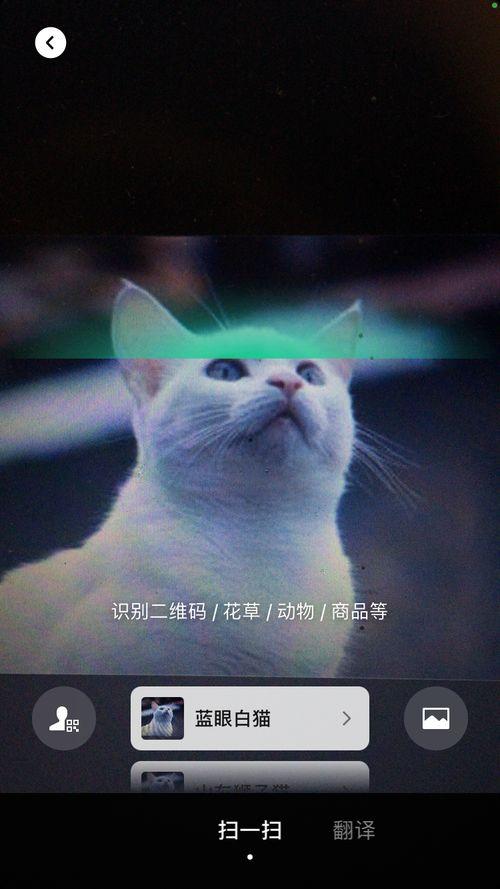 妖怪视频号直播爆料  第2张